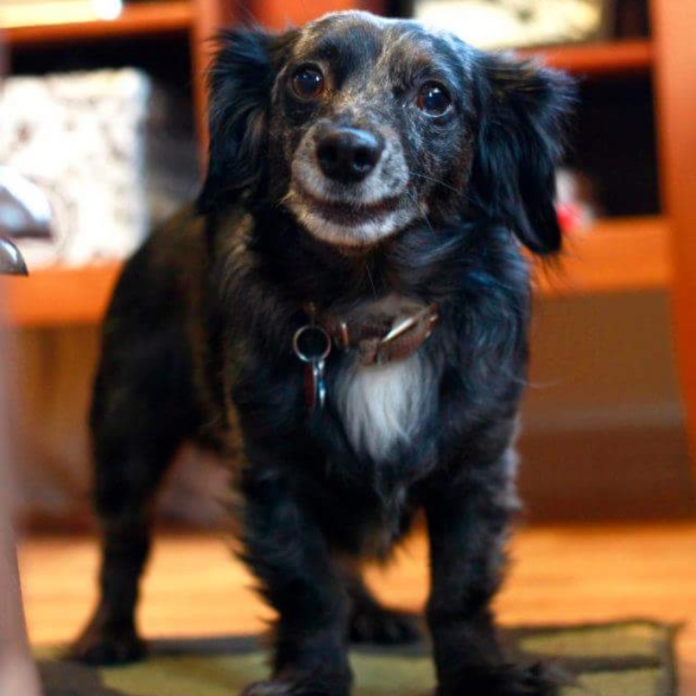 Hello there! Nice to meet ya. - Picture 2 of 5